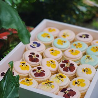 Bánh Cookie