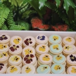 Bánh Cookie